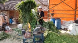 Kisah Pengusaha Pakan Ternak dari Ponorogo Ini Buktikan KUR BRI Bisa Bikin Usaha Berkembang