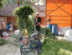 Kisah Pengusaha Pakan Ternak dari Ponorogo Ini Buktikan KUR BRI Bisa Bikin Usaha Berkembang