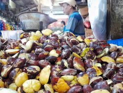 Harga Jengkol di Kabupaten Bekasi Tembus Rp100 Ribu Per Kg, Dekati Daging Sapi