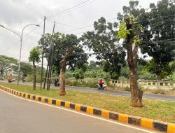 Kabel Semrawut di Jalan Inspeksi Kalimalang Harus Ditertibkan