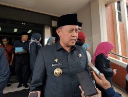 Wali Kota Bekasi Tak Larang Pemasangan Bendera One Piece, tapi…