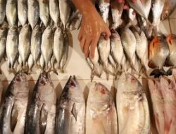 Guru Besar UT Ungkap Perairan Laut Bekasi Diduga Terpapar Logam Berat