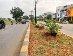 Median Jalan Inspeksi Kalimalang Makin Indah