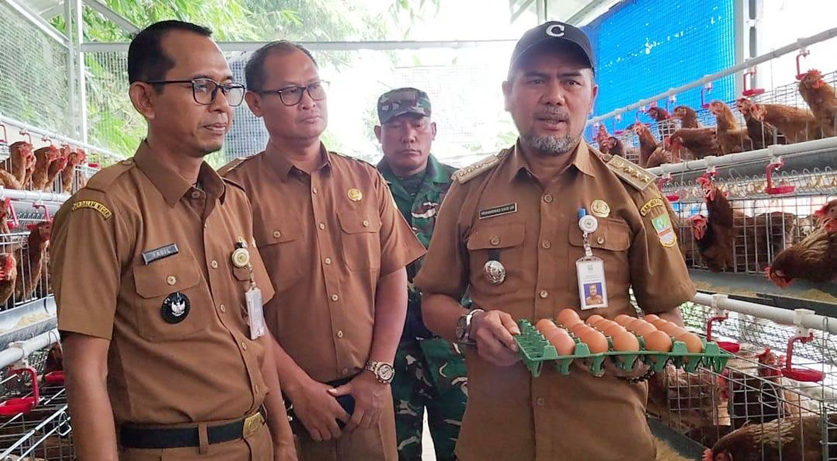 Budidaya Ayam Petelur di Desa Serang Cikarang Selatan Tunjukkan Hasil Menggembirakan