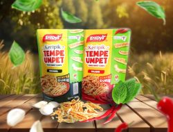 Dari Dapur Rumah ke Etalase Bandara, Ini Kisah Sukses UMKM Bersama Rumah BUMN Binaan BRI