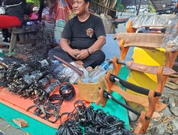 Laris Manis Akar Bahar di Kali Abang Tengah