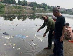 Jaga Kualitas Air, Ribuan Benih Patin Dilepas di Polder Jatikramat