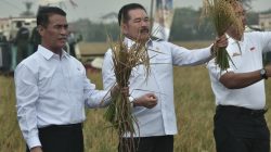 Sawah Sitaan Milik Koruptor di Tambun Utara Panen 49 Ton Padi