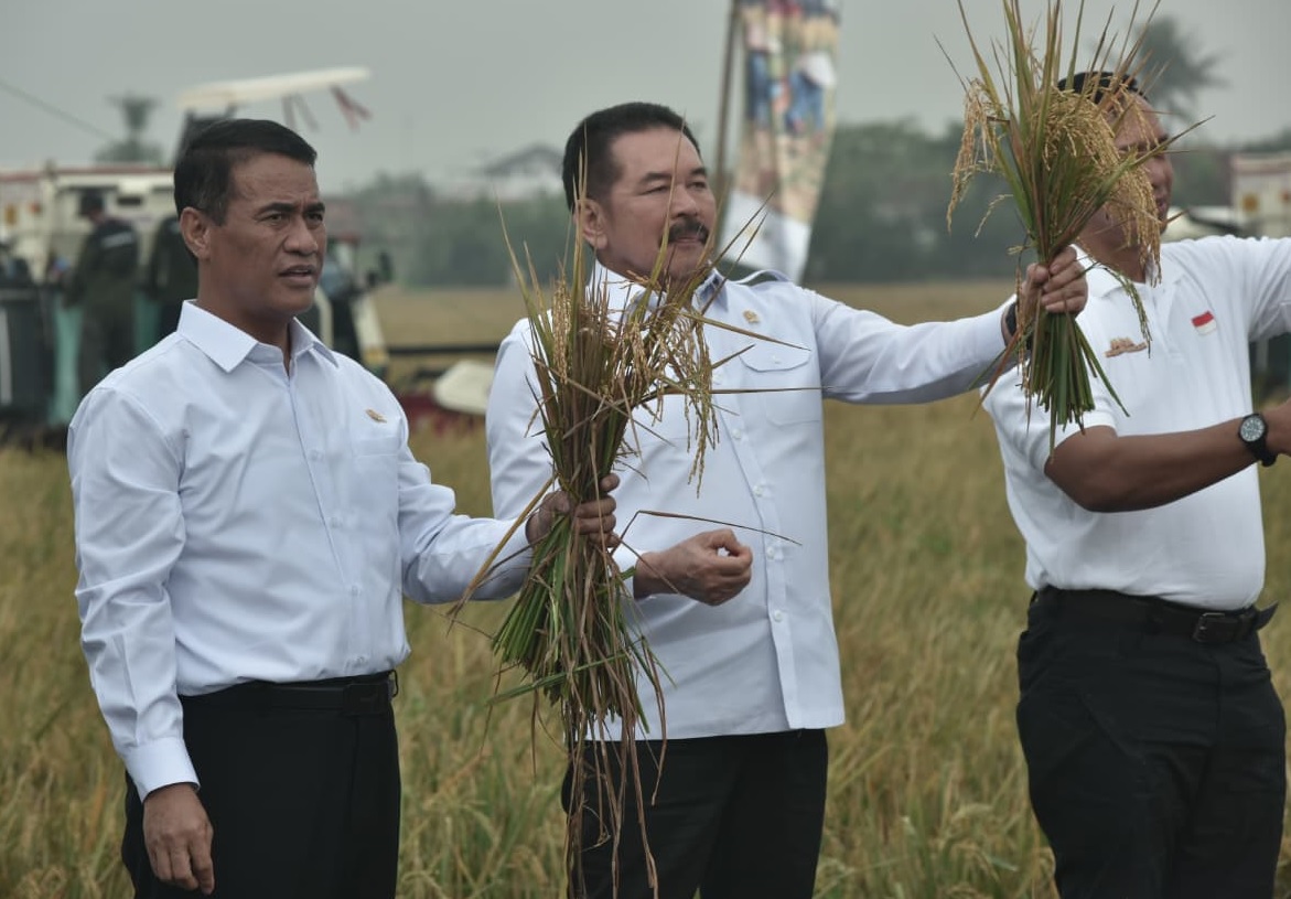 Sawah Sitaan Milik Koruptor di Tambun Utara Panen 49 Ton Padi