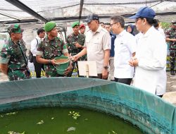 Perkuat Pertahanan Negara, Pemerintah Bakal Bentuk 100 Batalyon Teritorial Pembangunan