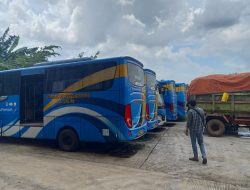 29 Bus Transpatriot Bakal Dilelang