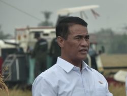 Delapan Bulan Tanpa Impor, Indonesia Dekat dengan Swasembada Pangan