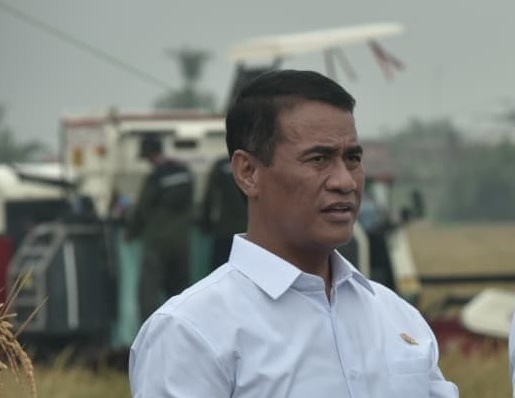 Delapan Bulan Tanpa Impor, Indonesia Dekat dengan Swasembada Pangan