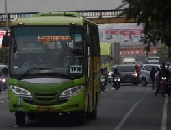 MTI Soroti Kebijakan Lelang Transpatriot