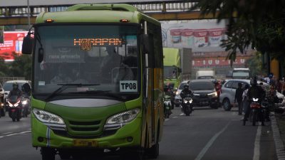 MTI Soroti Kebijakan Lelang Transpatriot