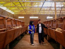 Penyaluran KUR BRI Dorong Setengah Juta Pengusaha UMKM Naik Kelas