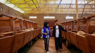 Penyaluran KUR BRI Dorong Setengah Juta Pengusaha UMKM Naik Kelas