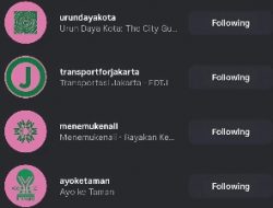 Viral, Brave Pink dan Hero Green Simbol Empati dan Perjuangan Politik Pascademo