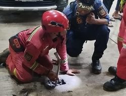 Tim Rescue Disdamkarmat Kota Bekasi Susah Payah Evakuasi iPhone