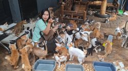 Pemkot Bekasi Pertimbangkan Pembangunan Puskeswan