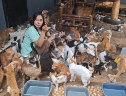 Pemkot Bekasi Pertimbangkan Pembangunan Puskeswan