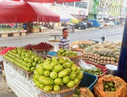 Manfaatkan KUR BRI, Pedagang Nanas Ini Sukses Kembangkan Produk Olahan yang Diminati Pasar 