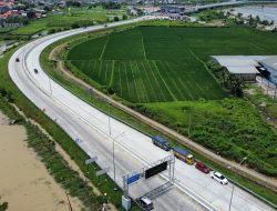 Didukung Perda LP2B, Sektor Bisnis Pertanian Makin Terbuka