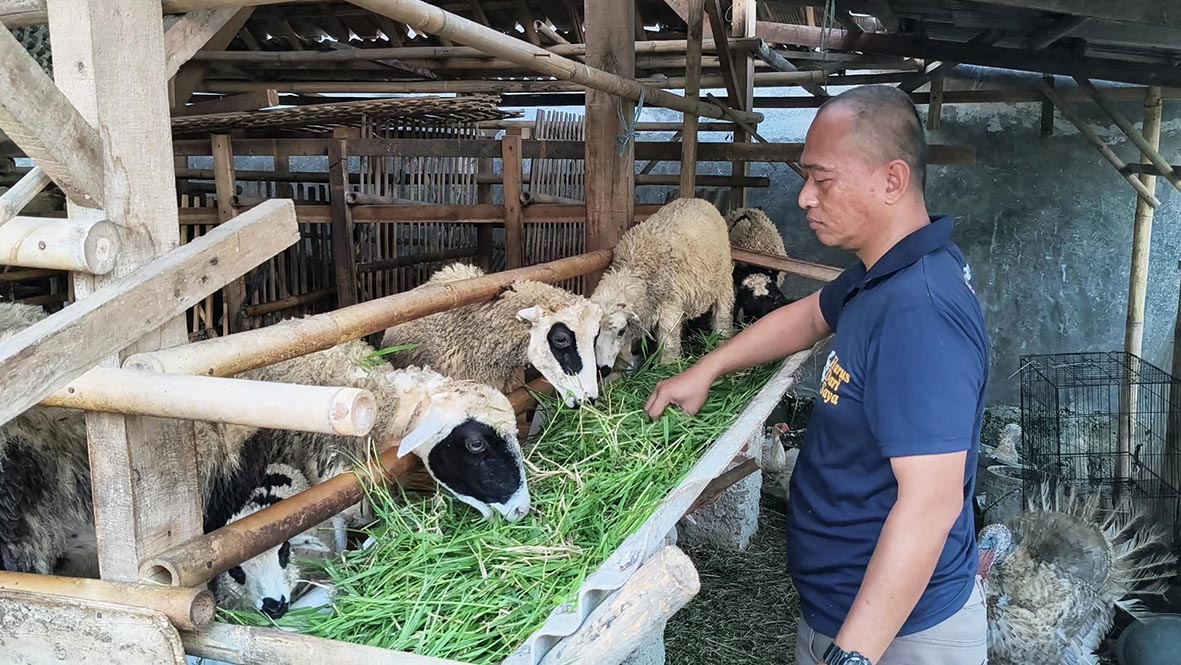 Aipda Oktaf Wujudkan Mimpi Kuliah Anak Warga lewat Ternak Kambing