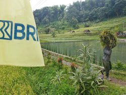 Peringati Hari Tani Nasional, BRI Perkuat Dukungan bagi Sektor Pertanian melalui Akses Pembiayaan dan Pemberdayaan Inklusif