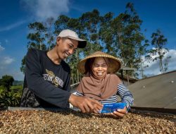 Konsisten Berdayakan UMKM Antar BRI Raih Penghargaan Pilar Sosial Katadata ESG Index Awards 2025