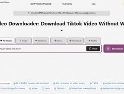 7 Alasan VidGap Jadi Pilihan No. 1 Download Video TikTok Tahun 2025
