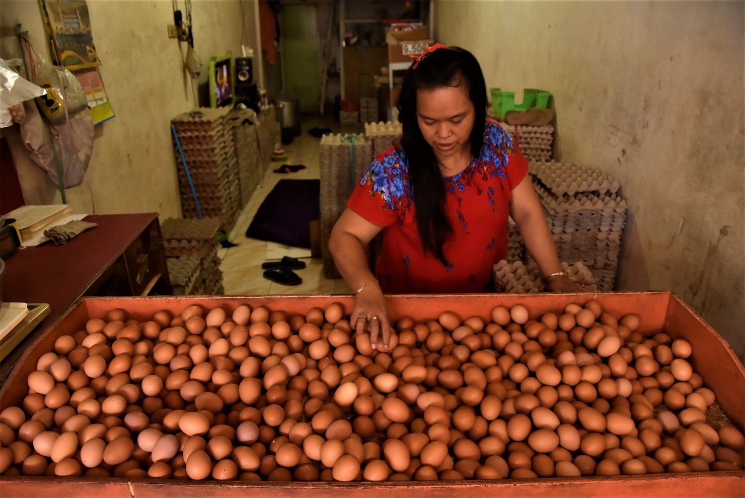Efek MBG, Harga Telur Ayam Tembus Rp29 Ribu Per Kg