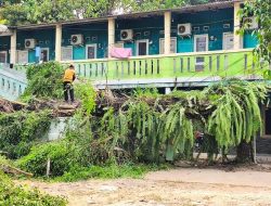 Pohon Besar Tumbang di TKP Pembunuhan Cibitung