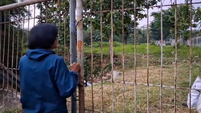 Polisi Ungkap Motif di Balik Penikaman Office Boy di Cikarang