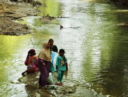 Waspada! DBD Mengintai di Musim Hujan