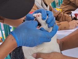 Pemkot Bekasi Gelar Vaksinasi Rabies Hewan Peliharaan di Setiap Kecamatan