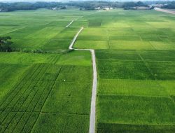 Realisasi Perda LP2B Kabupaten Bekasi Terancam Mandek Tanpa Perbup dan Anggaran