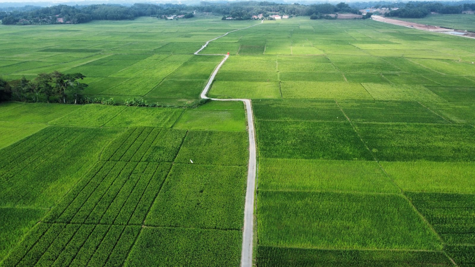 Realisasi Perda LP2B Kabupaten Bekasi Terancam Mandek Tanpa Perbup dan Anggaran