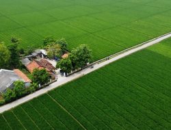 Terganjal Penomoran, Perda LP2B Kabupaten Bekasi Belum Bisa Dianggarkan