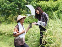 Pembiayaan KUR BRI Terbukti Tingkatkan Omzet UMKM