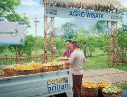 4.909 Desa BRILiaN Jadi Bukti Nyata Komitmen BRI Wujudkan Asta Cita Pemerataan Ekonomi   