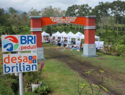 Selaras Asta Cita, BRI Mantapkan Program UMKM untuk Tumbuhkan Ekonomi Merata