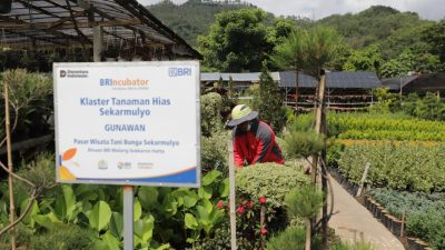 Perkuat Literasi dan Inklusi Keuangan, Holding Ultra Mikro BRI Salurkan Pembiayaan Rp632 Triliun kepada 34,5 Juta Debitur