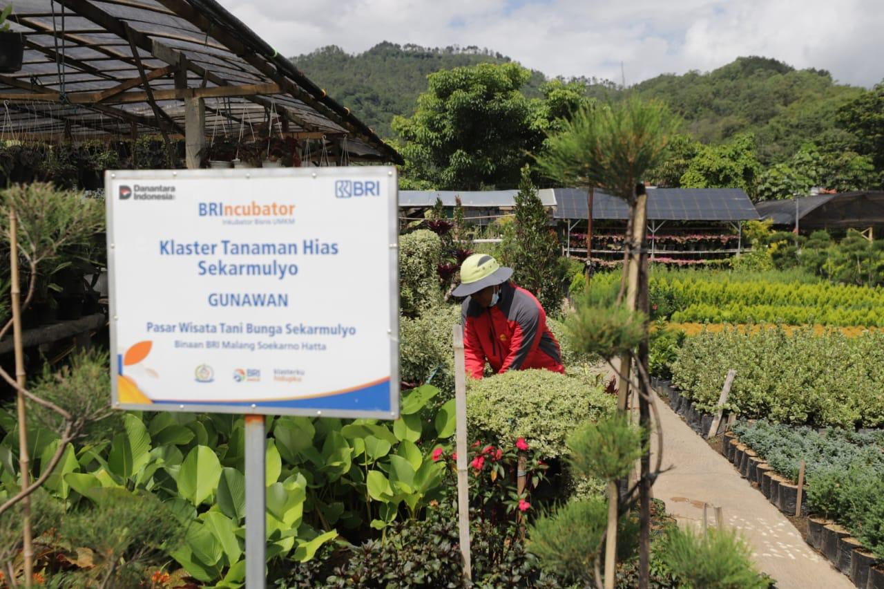 Perkuat Literasi dan Inklusi Keuangan, Holding Ultra Mikro BRI Salurkan Pembiayaan Rp632 Triliun kepada 34,5 Juta Debitur