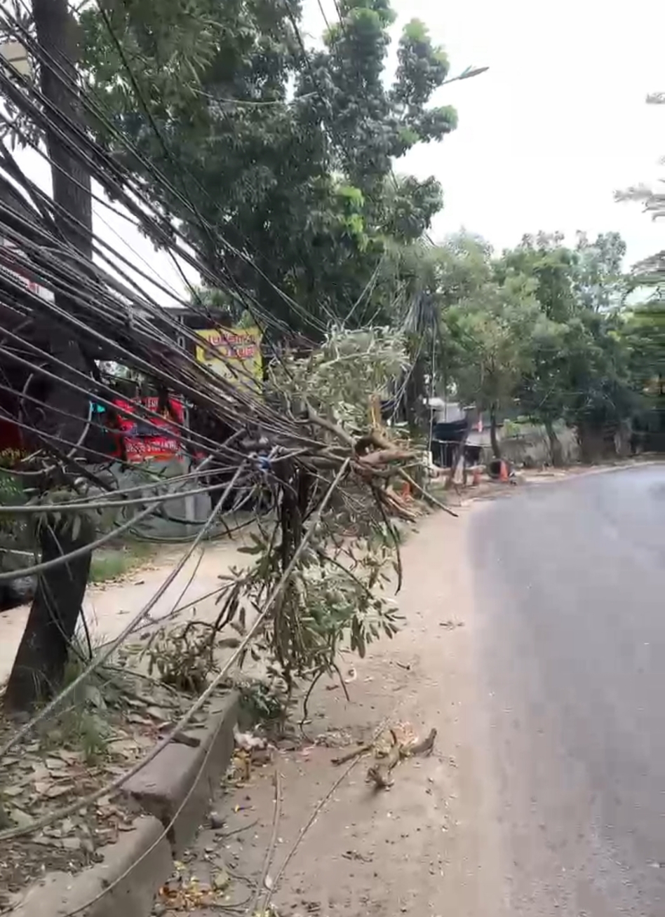 Kabel Optik Menjuntai di Jalan Baru Cipendawa Dikeluhkan Warga
