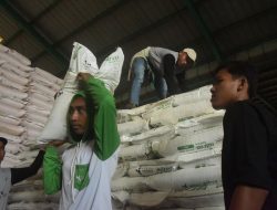 HET Pupuk Turun Pangkas Biaya Produksi Petani di Kabupaten Bekasi, tapi Harga Gabah Masih ‘Labil’