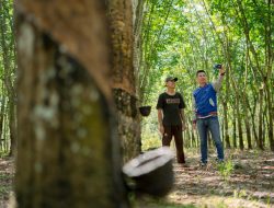 Indeks Bisnis UMKM BRI Q3-2025: Ekspansi Berlanjut dan Optimisme Pelaku Usaha Meningkat