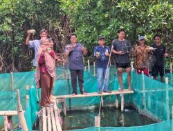 Dosen IPB Panen Kepiting dari Program Pengabdian BIMA 2025 di Bekasi   