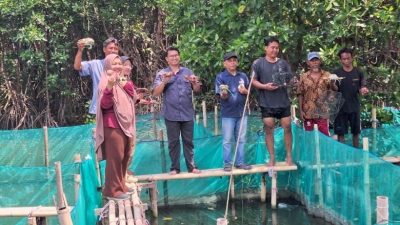 Dosen IPB Panen Kepiting dari Program Pengabdian BIMA 2025 di Bekasi   