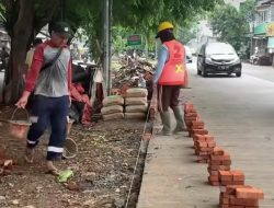 Warga Kalibaru Dapat “Bonus” Ruang Hijau, Taman Lanjutan Mulai Dikerjakan